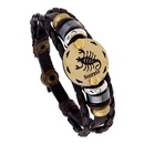 Occident Cortical constellation Bracelet  Aries  NHPK0046Ariespicture1
