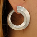 Simple Alloy  earring  Alloy  NHGY0920Alloypicture2