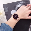 Alloy Fashion  Ladies watch  Alloy belt gray surface NHSY1718Alloybeltgraysurfacepicture4