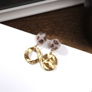 Imitated crystalCZ Fashion Geometric earring  Leopard print NHIM1480Leopardprintpicture5