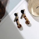 Imitated crystalCZ Fashion Geometric earring  Leopard print NHIM1483Leopardprintpicture9