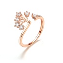 Alloy Fashion Geometric Ring  Rose Alloy7 NHIM1497RoseAlloy7picture7