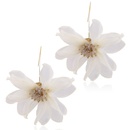 Alloy Korea Flowers earring  white NHNMD5004whitepicture1