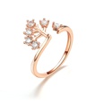 Alloy Fashion Geometric Ring  Rose Alloy7 NHIM1497RoseAlloy7picture8