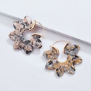 Alloy Fashion Flowers earring  1 NHLU03331picture2