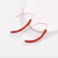 Alloy Fashion bolso cesta earring  red NHLU0152redpicture10