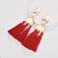 Alloy Fashion Tassel earring  red NHLU0307redpicture10