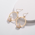 Alloy Fashion Flowers earring  AB NHLU0310ABpicture10