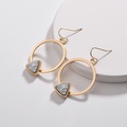 Alloy Fashion Flowers earring  AB NHLU0310ABpicture12