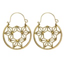 Alloy Simple Flowers earring  Alloy NHGY2768Alloypicture1