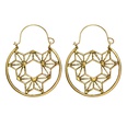 Alloy Simple Flowers earring  Alloy NHGY2768Alloypicture5
