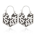 Alloy Fashion Geometric earring  Alloy NHGY2786Alloypicture4