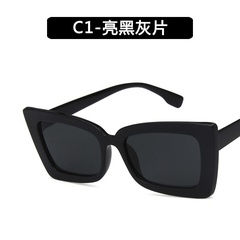 Plastic Fashion  glasses  (C1) NHKD0531-C1