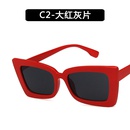 Plastic Fashion  glasses  C1 NHKD0531C1picture2