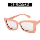 Plastic Fashion  glasses  C1 NHKD0531C1picture5
