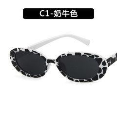 Plastic Fashion  glasses  (C1) NHKD0541-C1