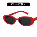 Plastic Fashion  glasses  C1 NHKD0541C1picture3