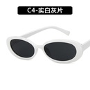 Plastic Fashion  glasses  C1 NHKD0541C1picture4