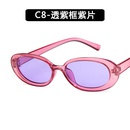 Plastic Fashion  glasses  C1 NHKD0541C1picture8