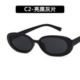 Plastic Fashion  glasses  C1 NHKD0541C1picture18
