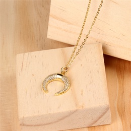 TitaniumStainless Steel Fashion  necklace  NE0029A NHPY0401NE0029Apicture1