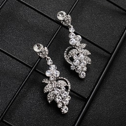 Alloy Fashion Geometric earring  Alloy NHHS0610Alloypicture1
