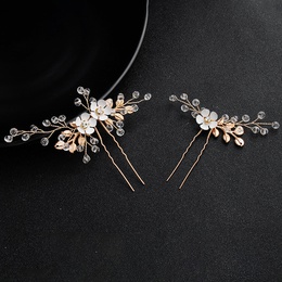 Alloy Simple Flowers Hair accessories  Alloy NHHS0609Alloypicture1