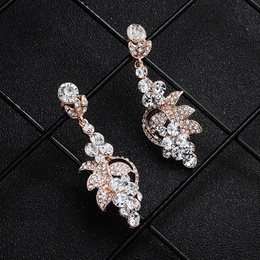 Alloy Fashion Geometric earring  Alloy NHHS0610Alloypicture2