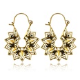 Alloy Simple Flowers earring  Alloy NHGY2752Alloypicture6