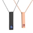TitaniumStainless Steel Simple Geometric necklace  black NHHF1192blackpicture5