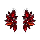 Alloy Fashion Geometric earring  red NHJJ4029redpicture1