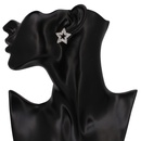 Alloy Fashion Geometric earring  Alloy black NHJJ4360Alloy blackpicture2