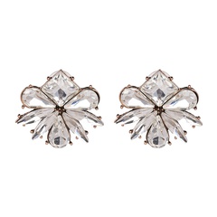 Imitated crystal&CZ Fashion Geometric earring  (50700) NHJJ4572-50700