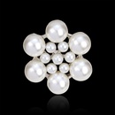 Alloy Korea Flowers brooch  AA078A White k NHDR2407AA078A White kpicture5