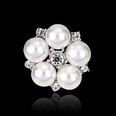 Alloy Korea Flowers brooch  AA078A White k NHDR2407AA078A White kpicture27
