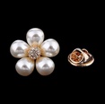 Alloy Korea Flowers brooch  AA078A White k NHDR2407AA078A White kpicture28