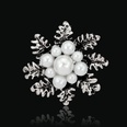 Alloy Korea Flowers brooch  AA078A White k NHDR2407AA078A White kpicture29