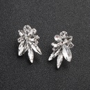 Alloy Fashion Flowers earring  Alloy NHHS0136Alloypicture9