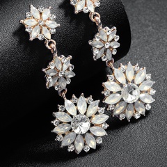 Alloy Fashion Flowers earring  (Alloy) NHHS0152-Alloy