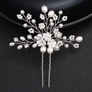 Beads Fashion Flowers Hair accessories  Alloy NHHS0166Alloypicture1