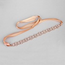 Alloy Fashion Geometric Hair accessories  Rose alloy NHHS0316Rose alloypicture1