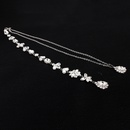 Imitated crystalCZ Fashion Flowers necklace  Alloy NHHS0337Alloypicture8