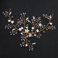 Beads Fashion Flowers Hair accessories  Alloy NHHS0116Alloypicture3