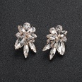 Alloy Fashion Flowers earring  Alloy NHHS0136Alloypicture5