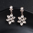 Alloy Fashion Geometric earring  Alloy NHHS0138Alloypicture4
