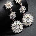 Alloy Fashion Flowers earring  Alloy NHHS0152Alloypicture4