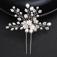 Beads Fashion Flowers Hair accessories  Alloy NHHS0166Alloypicture5