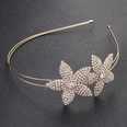 Alloy Fashion Geometric Hair accessories  Alloy NHHS0268Alloypicture15