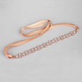 Alloy Fashion Geometric Hair accessories  Rose alloy NHHS0316Rose alloypicture4