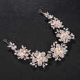 Alloy Fashion Flowers Hair accessories  Alloy NHHS0339Alloypicture5